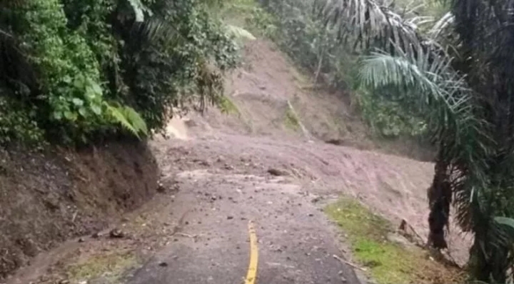 Tanah longsor kembali menutup jalan nasional yang menghubungkan selatan Cianjur dengan Kabupaten Bandung. (Foto: Antara)