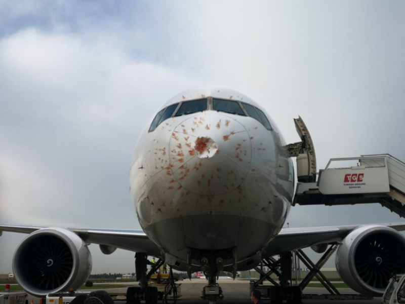 Pesawat rusak pada bagian hidung.