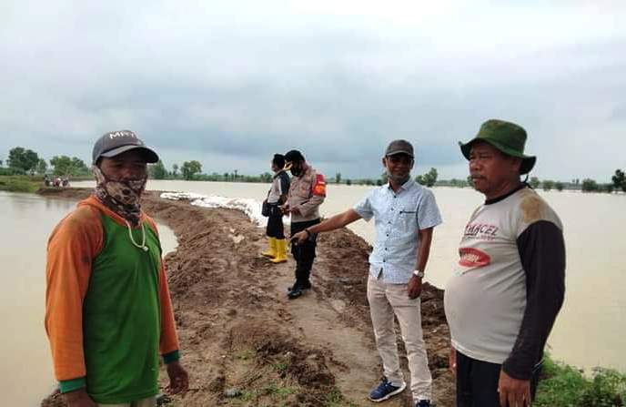 Anggota Kelompok Tani dan Perangkat Desa Pegagan meninjau tanggul kali Congger yang meluap sehingga mengakibatkan banjir. (Taryani) 