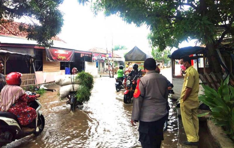 Banjir menerjang permukiman warga dan merendam puluhan hektar tanaman padi serta palawija  yang siap dipanen di Desa dan Kecamatan Widasari, Indramayu, Jawa Barat, Rabu (06/1/2021). (Taryani)