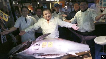 Seekor tuna sirip biru dijual seharga 20,8 juta yen (setara dengan Rp2,8 miliar) dalam pelelangan perdana tahun 2021 di pasar ikan Toyosu Tokyo, Selasa (5/1). (AP Photo/Eugene Hoshiko)