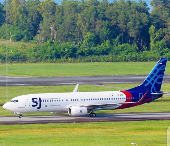 Pesawat Sriwijaya Air (Instagram SJ)