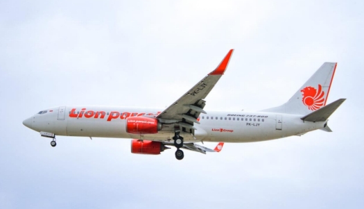 Lion Air tipe pesawat Boeing 737-800NG. Foto:Istimewa