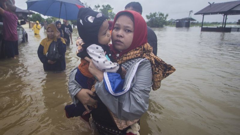Berkurangnya Area Hutan Primer dan Sekunder Disebut Menjadi Pemicu