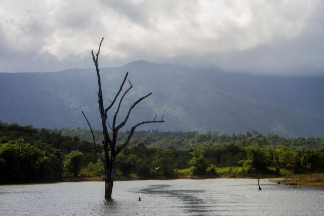 Pemandangan kawasan hutan lembaga adat desa Pa`au di pegunungan Meratus, Kalimantan Selatan. Foto:  Bayu Pratama S/ANTARA FOTO