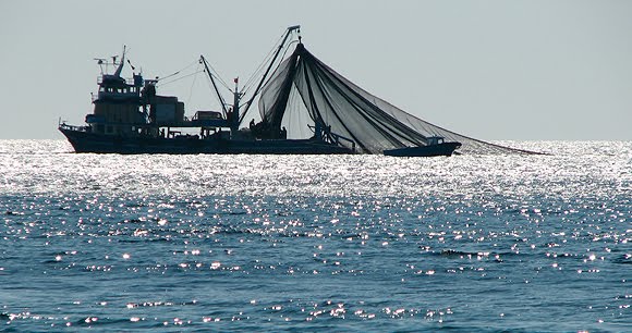 Sebuah kapal penangkap ikan dengan jaring pukat hela (trawl). Foto : awionline.org/Mongabay Indonesia