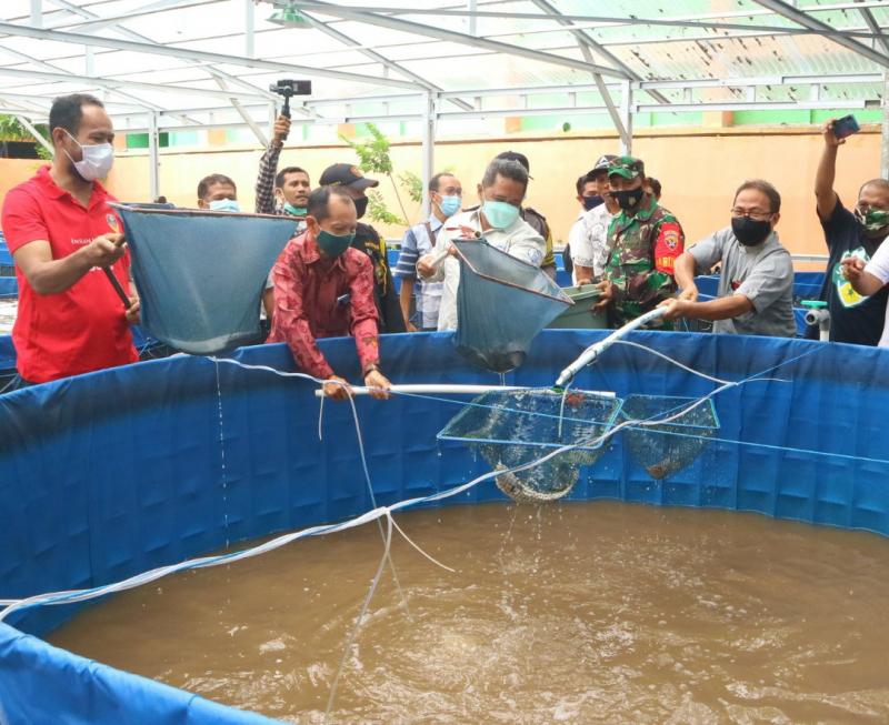 Bioflok salah satu cara budidaya ikan.