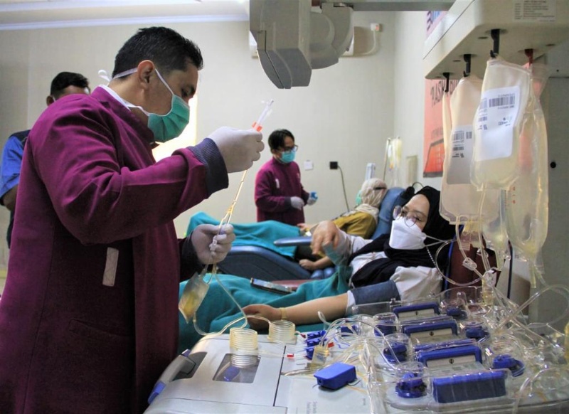 Donor Plasma