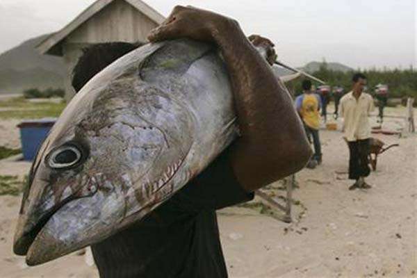 Nelayan Biak Numfor Pupua membawa ikan besar.
