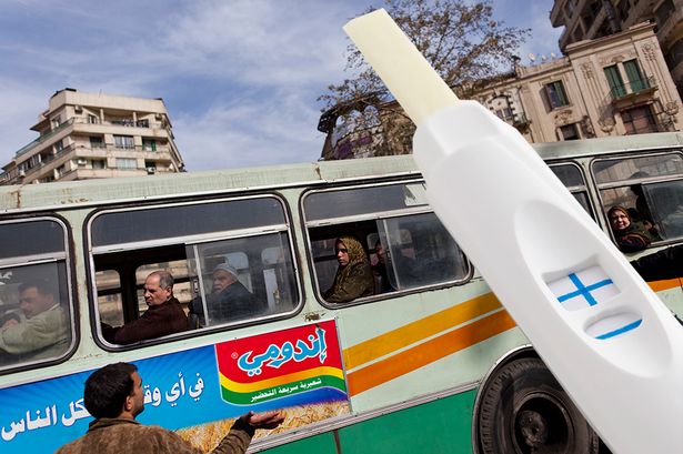 Seorang sopir bus berusaha menghindari upaya kepolisian Mesir yang akan melakukan tes narkoba dengan meminjam urine istrinya.