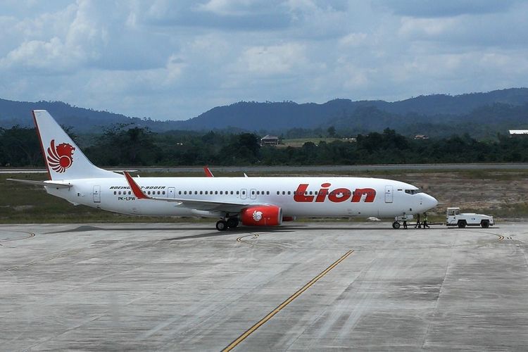 Ilustrasi pesawat Lion Air.