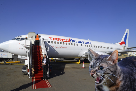 Seorang pilot 737 diserang oleh seekor kucing! Foto: Tarco Aviation/simpleflying.com