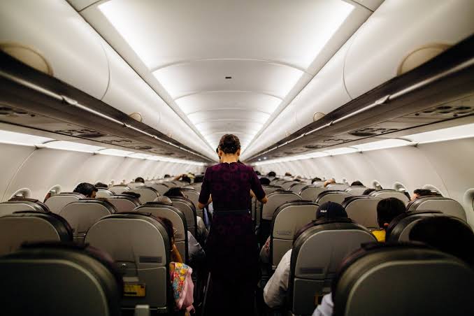 Ilustrasi pramugari sedang melayani penumpang di pesawat.