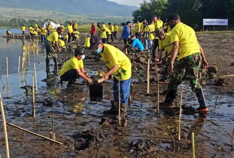 Menanam magrove bersama dalam rangka HUT ke-48 ASDP