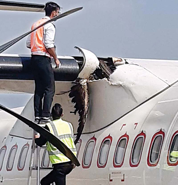 ATR-72 Air India rusak gegara tabrak burung. Foto Twitter @JacdecNew