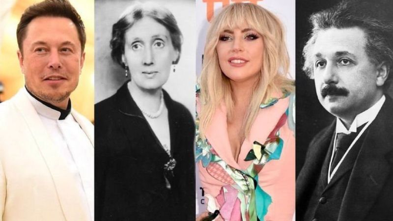 Elon Musk, Virginia Woolf, Lady Gaga dan Albert Einstein termasuk para genius dalam sejarah menurut Wright. (Getty Images)