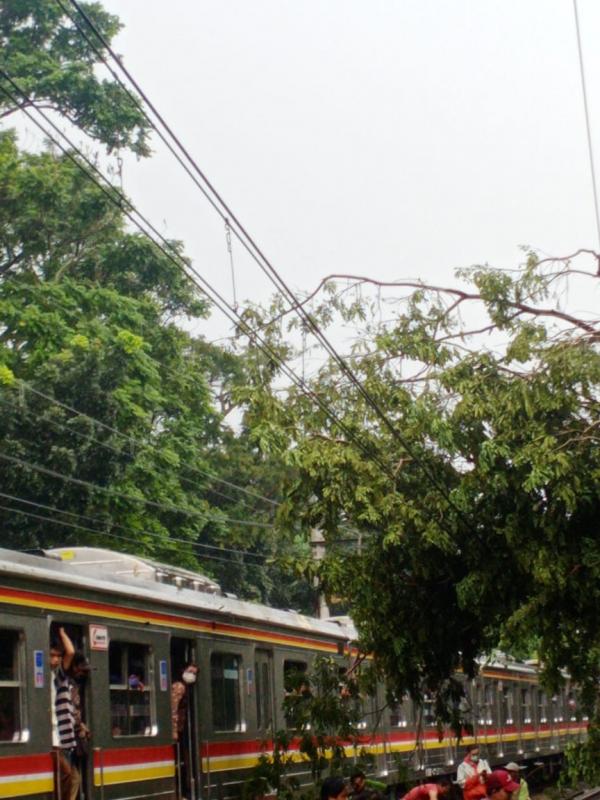 KRL terhenti akibat pohon tumbang di jalur KA antara Stasiu TanahAbang-Sudimara pada Ahad, 11 April 2021 siang. (Foto akun twitter @yudistirop)