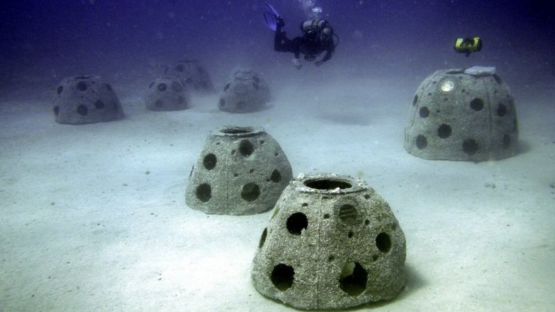 Terumbu Karang Abadi, yang mengandung abu manusia, terletak di lepas pantai timur Amerika. Foto:.Eternal Reefs  