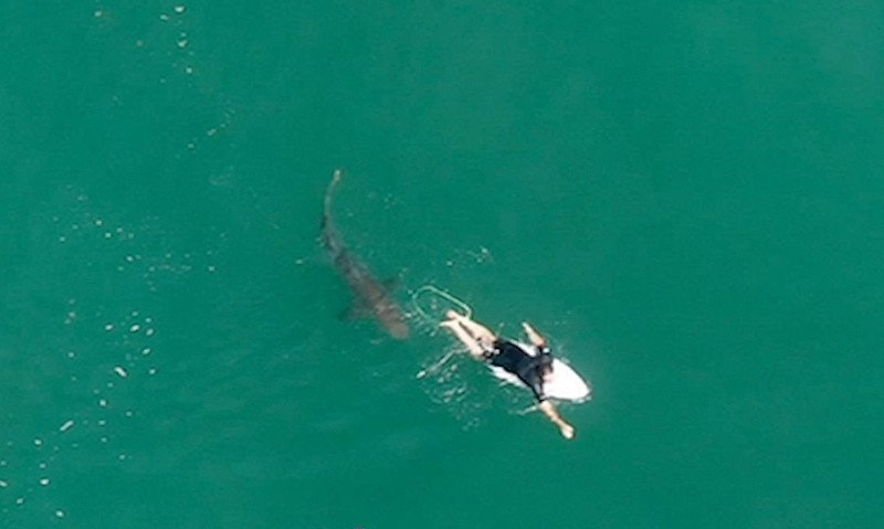 foto:istimewa/dari rekaman drone milik NSW Surf Life Saving