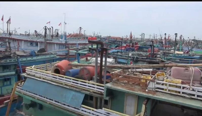 Lebih seribu kapal menumpuk di Dermaga Pelabuhan Tegal, dikeluhkan nelayan karena tak bisa melaut.(Ist)