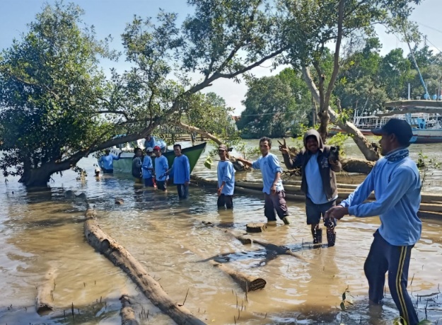 Kegiatan menanam pohon Mangrove di pesisi pantai Pelabuhan Kuala Samboja, Kaltim