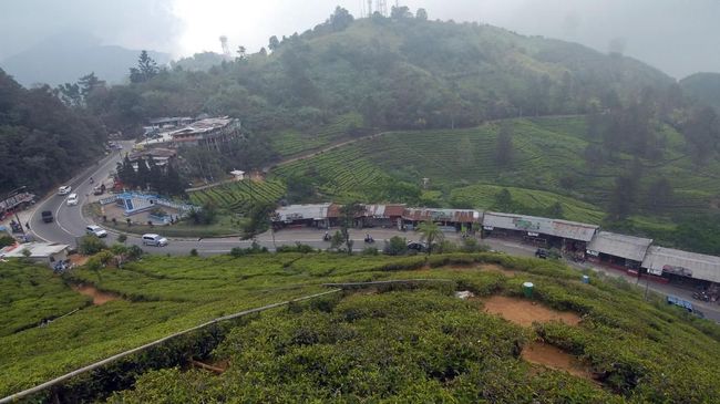 Kawasan Puncak, Kabupaten Bogor kerap menjadi destinasi yang ramai dikunjungi tiap akhir pekan.