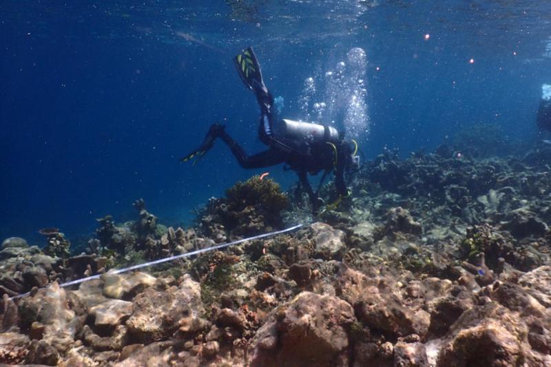 Terumbu karang rusak akibat kandasnya kapal KM Sabuk Nusantara 62 di Kawasan Konservasi Perairan Nasional Suaka Alam Perairan (KKPN SAP) Raja Ampat serta Perairan Pulau Gag. 