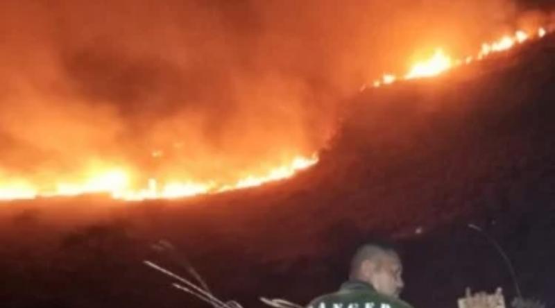 Padang savana di kawasan Taman Nasional Komodo terbakar.