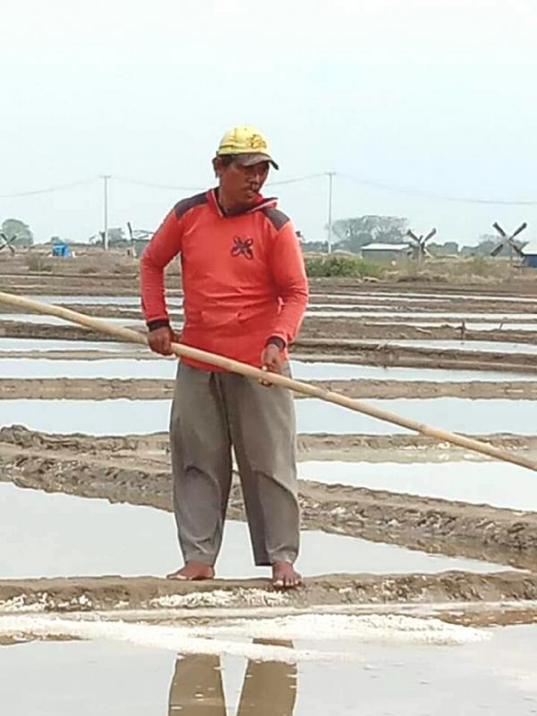 Salah seorang petani garam, Darmin, 48 sedang memproses pembuatan garam di Blok Tampolong, Desa Wirapanjunan, Indramayu. (Taryani)
