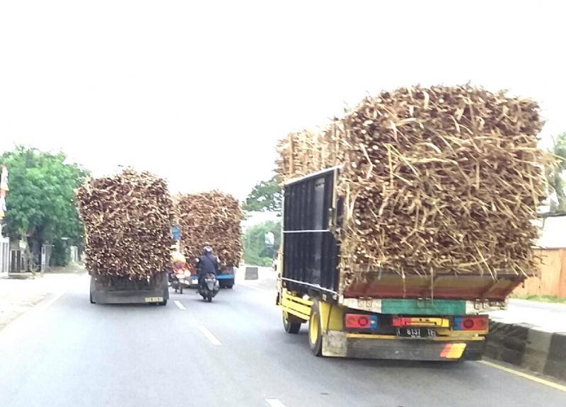 Dua pengendara motor ini terpaksa mengemudikan kendaraan dengan berzig-zag saat mendahului konvoi truk tebu di jalan Pantura, Indramayu. (Taryani) 