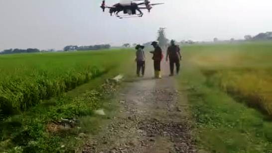 Drone bisa menggantikan tenaga manusia menyemprot pestisida pada tanaman padi milik petani di sawah. (Ist.)