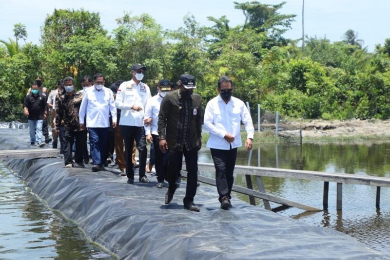 Menteri Kelautan dan Perikanan Sakti Wahyu Trenggono meninjau langsung klaster tambak udang vaname berkelanjutan di Desa Matang Rayeuk yang sudah berhasil panen sebanyak 25 ton atau senilai Rp1,8 miliar beberapa waktu lalu.