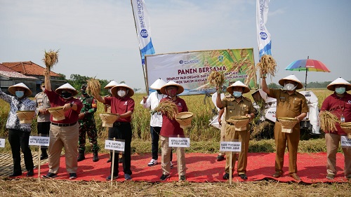 Kepala BI Jabar Herawanto, Anggota Komisi XI DPR RI Satori, Bupati Indramayu Nina Agustina foto bersama saat melaksanakan program pengembangan klaster pangan di Jabar. (Ist.)