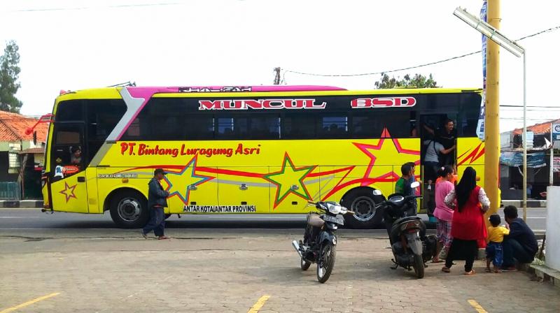 Bus `Muncul` dari PT. Bintang Luragung Asri menaikan penumpang di.jalan Pantura Indramayu. (Taryani)