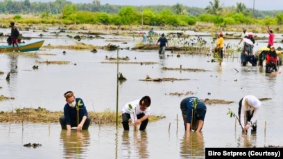 Presiden Jokowi (ketiga dari kiri) bersama para Duta Besar negara sahabat melakukan penanaman kembali mangrove di Desa Bebatu, Kalimantan Utara, pada 19 Oktober 2021. Jokowi memasang target untuk merehabilitasi sebanyak 600 hektare lahan mangrove. (Foto: Biro Setpres)
