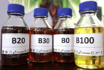 Kementerian Energi dan Sumber Daya Mineral (ESDM) menyampaikan kesiapannya untuk implementasi biodiesel 40% (B40). Foto: ist.