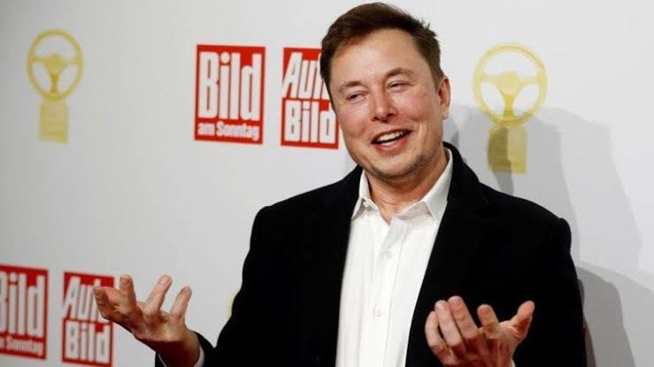 CEO Tesla, Elon Musk. Foto: ist.