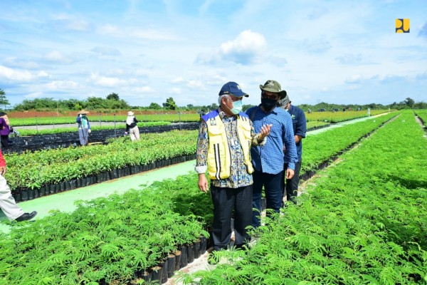 Pusat Persemaian Modern Rumpin di lahan seluas 15 hektar sebagai role model pemulihan lingkungan melalui pendekatan rehabilitasi hutan dan lahan (RHL). (Ist.)