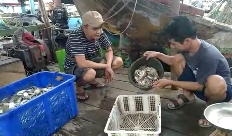 Sunanto pengepul hasil tangkapan nelayan di Cilincing (foto:BeritaTrans.com/aksi.id)