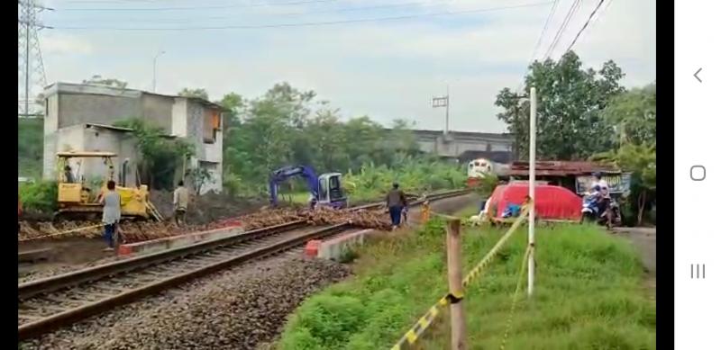 Video viral bebek tertabrak kereta api di Sidoarjo(Ist)