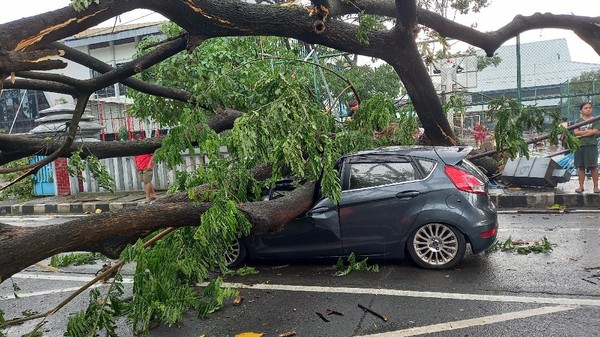 Pohon tumbang timpa mobil di Tangerang akibat hujan disertai angin kencang. (Khairul Ma`arif/detikcom)  