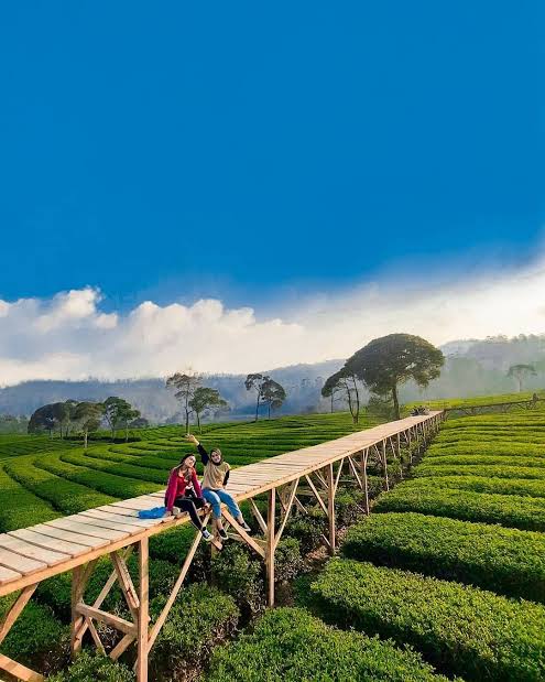 Inilah 4 Tempat Wisata Bandung Selatan di Pangalengan Terkeren Januari