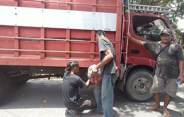 Solar Langka, Sejumlah Truk Mogok di Jalan. (Ist)