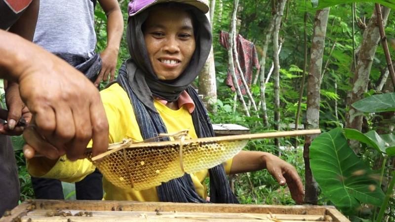 Salah seorang petani sedang memanen madu di Magelang. (Foto:Diskominfo Jateng)