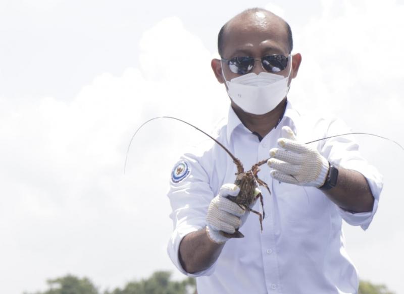 Direktur Jenderal Perikanan Budidaya, KKP, Tb Haeru Rahayu saat mencanangkan kampung perikanan budidaya lobster di Teluk Jukung, di Dusun Telong Elong, Desa Jerowaru, Kecamatan Jerowaru, Kabupaten Lombok Timur, Sabtu (26/3/2022).