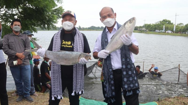 Direktur Jenderal Perikanan Budidaya, Tb Haeru Rahayu bersama Bupati Gresik, Fandi Akhmad Yani  saat mencanangkan Kabupaten Gresik sebagai kampung budidaya ikan bandeng, Ahad (27/3/2022). 