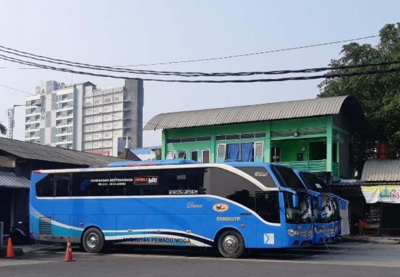 Bus Porum DAMRI. (Ist)