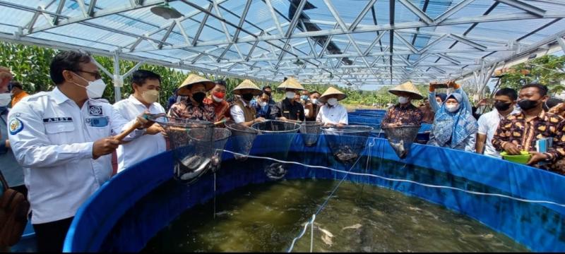 Budidaya ikan lele mengunakan sistem bioflok di Desa Cambai, Prabumulih.