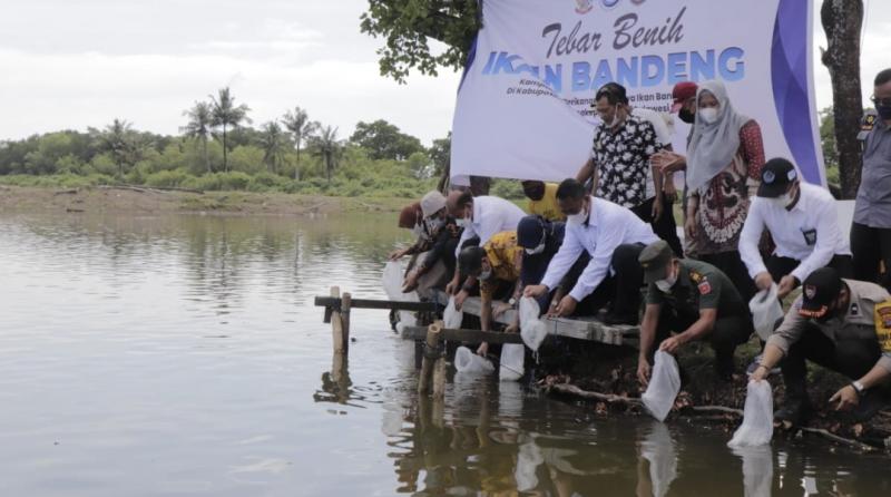 Pelepasan bibit bandeng.(foto/dok.KKP)