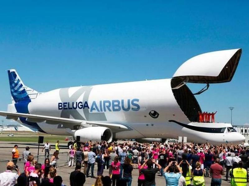 Ilustrasi pesawat komersial terbesar di dunia Airbus Beluga. (Foto:detik.com)